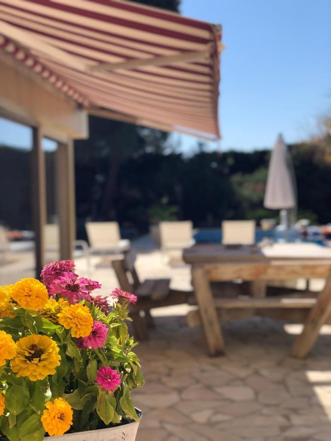 Le Paradis d’Anny Rouffiac-d'Aude Bagian luar foto